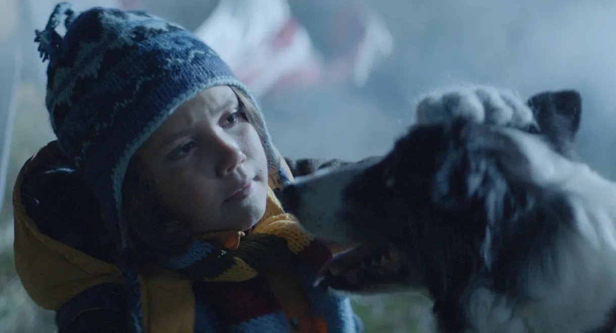 A Wish Upon A Satellite