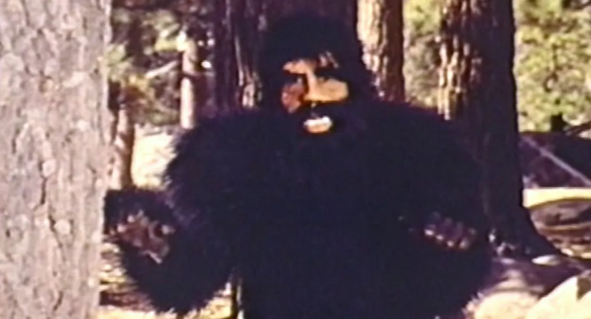 The Beauties and the Beast