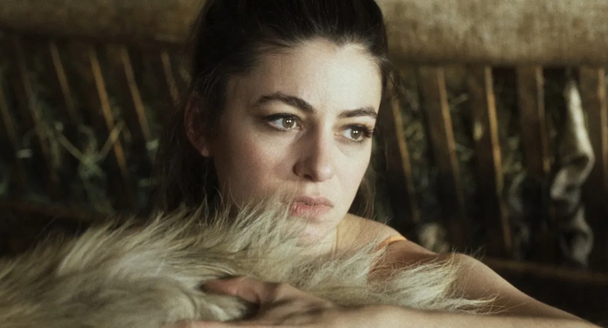 Le dernier homme de Vicky Venucci