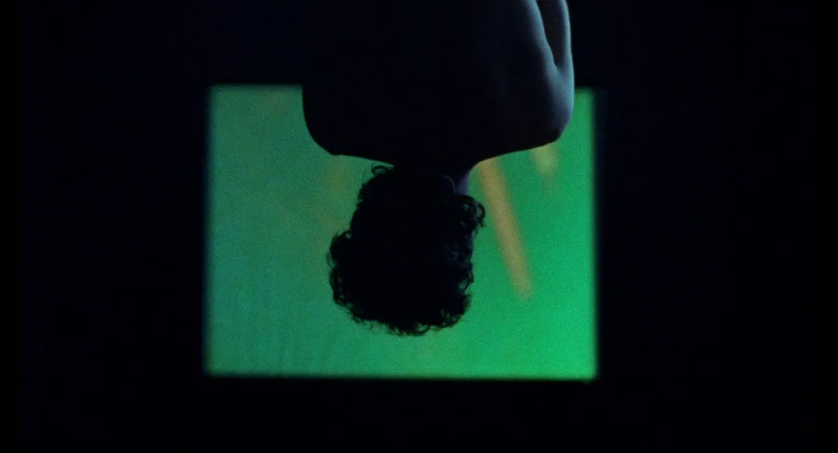 Los murciélagos han abandonado el campanario