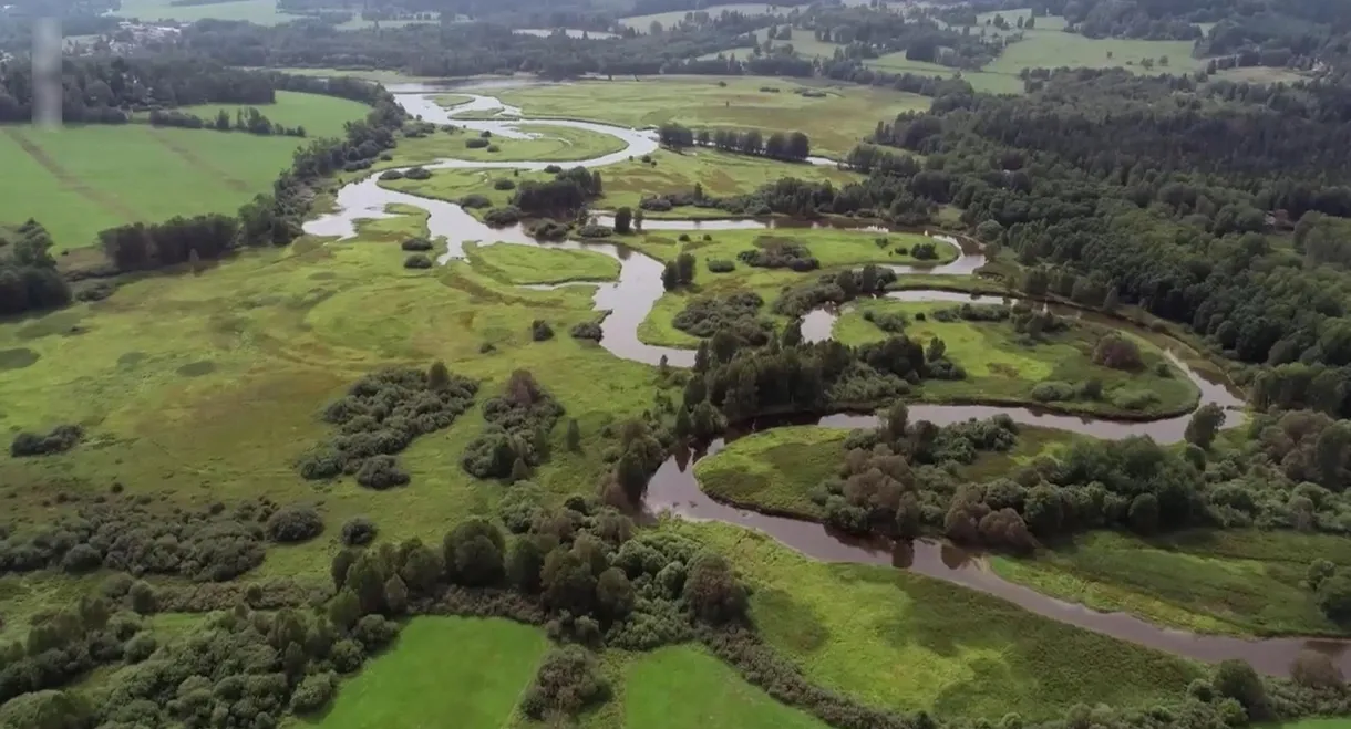 Die Moldau - Der goldene Fluss