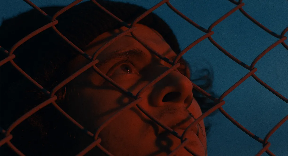 A Place Under The Stars