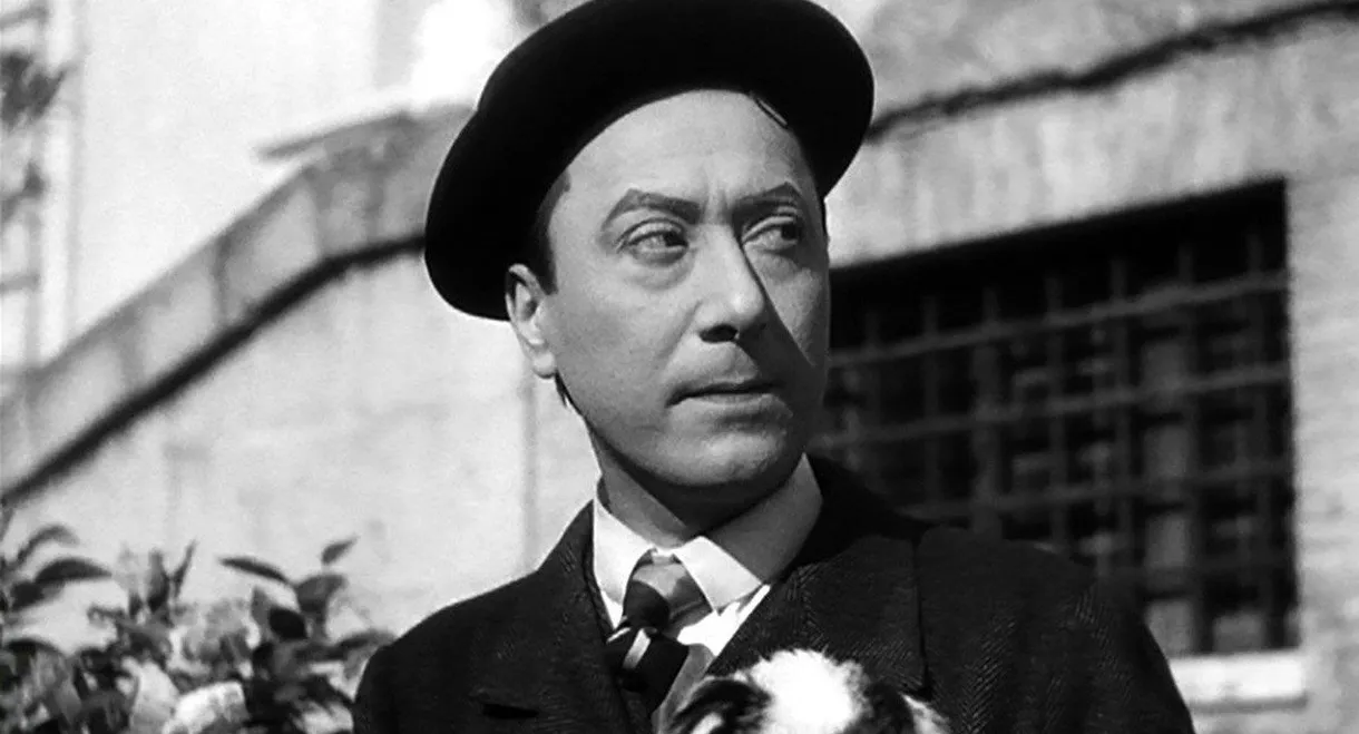 L'innocente Casimiro