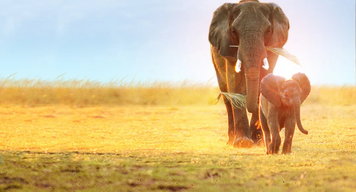 Whispers: An Elephant's Tale