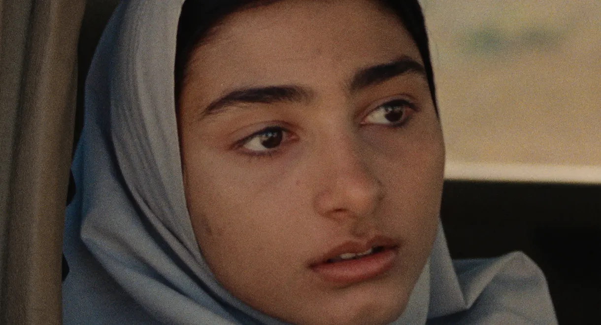 In the Garden of Tulips