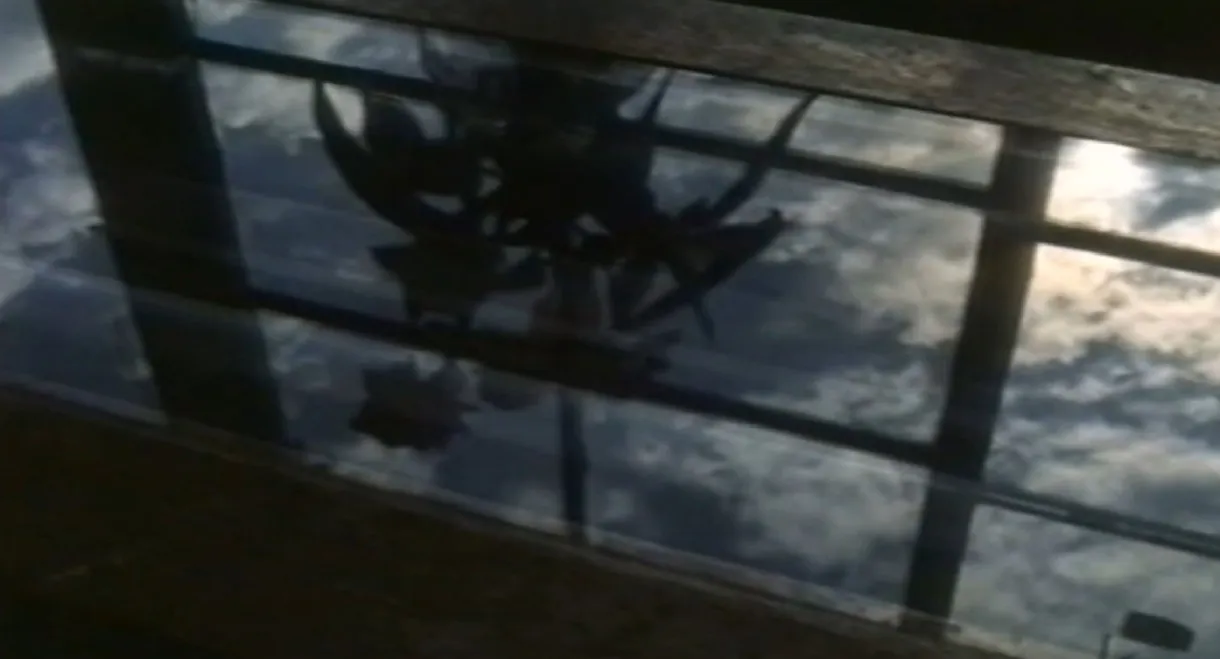 The Underground Water