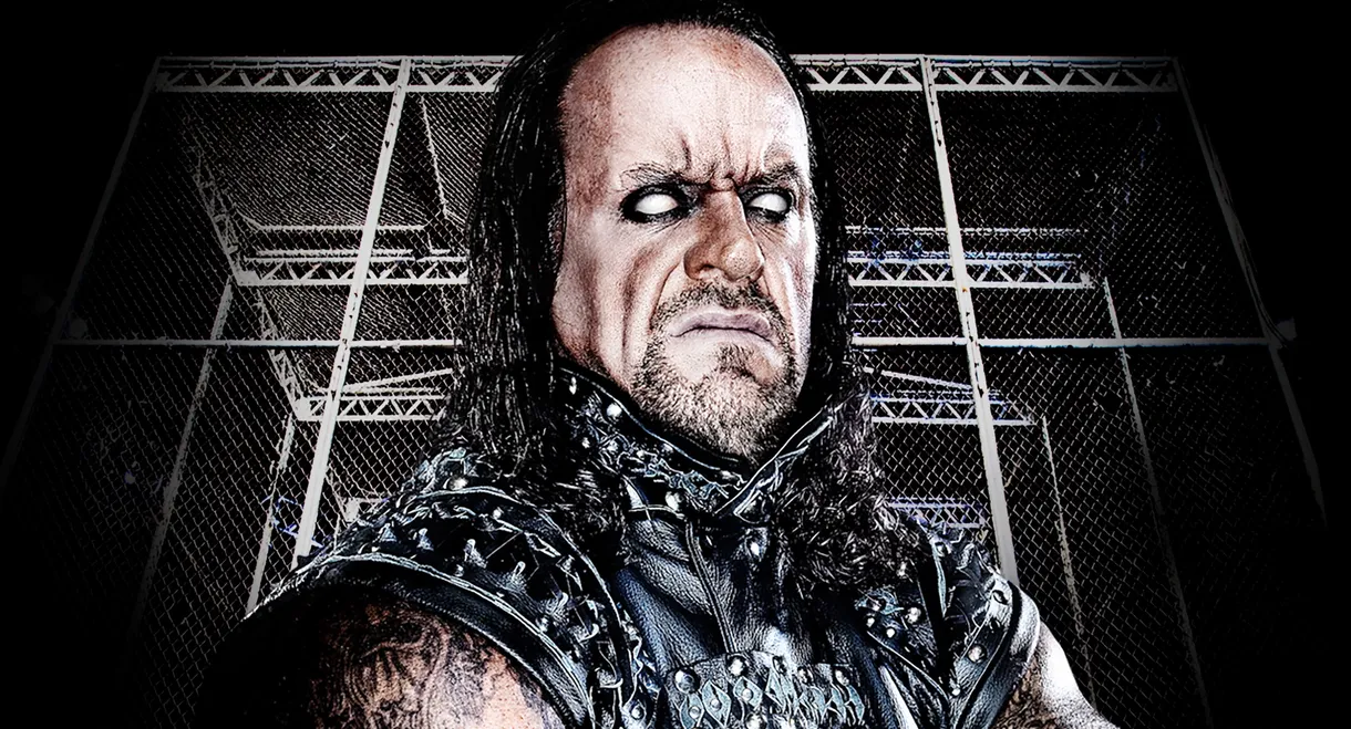 WWE Hell In A Cell 2010