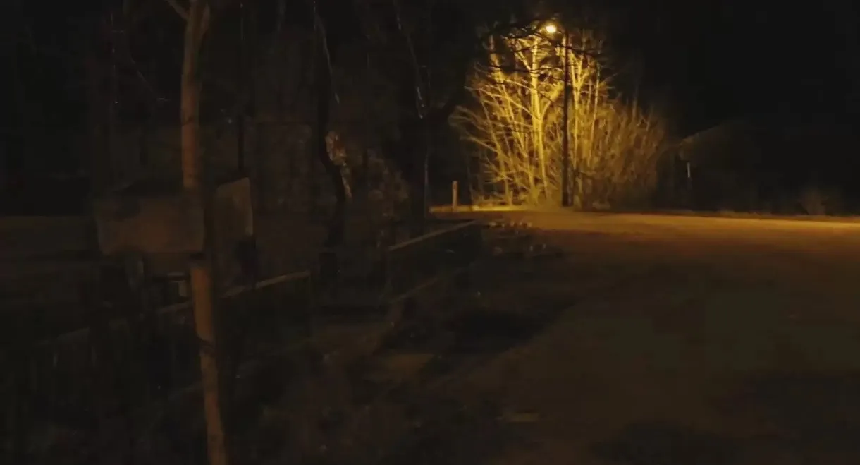 The Karadedeler Incident