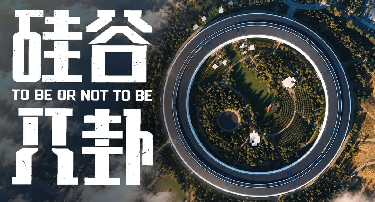 硅谷八卦