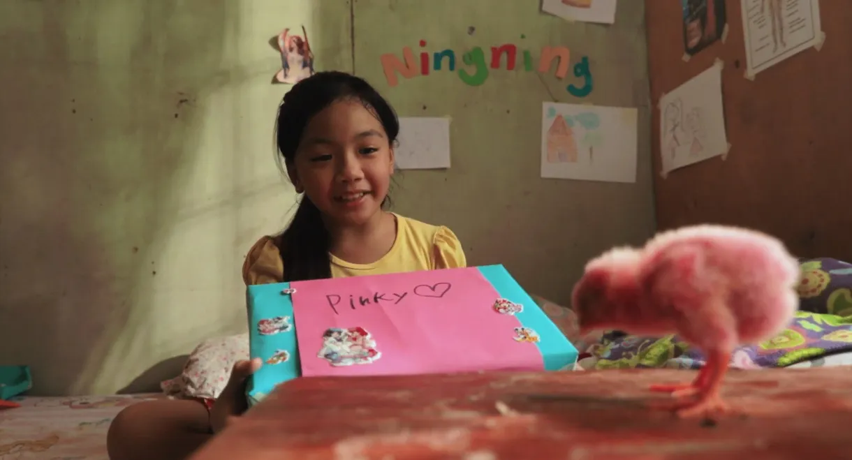 Ang Pink na Sisiw ni Ningning