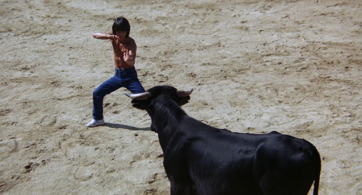 Challenge of the Tiger