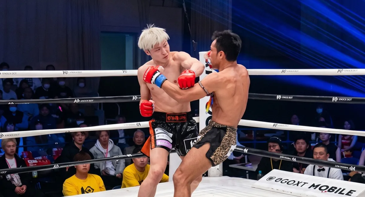 KNOCK OUT 61