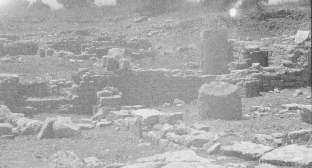 Memoirs Found in a Bathtub