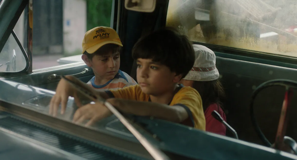 A House with Two Dogs