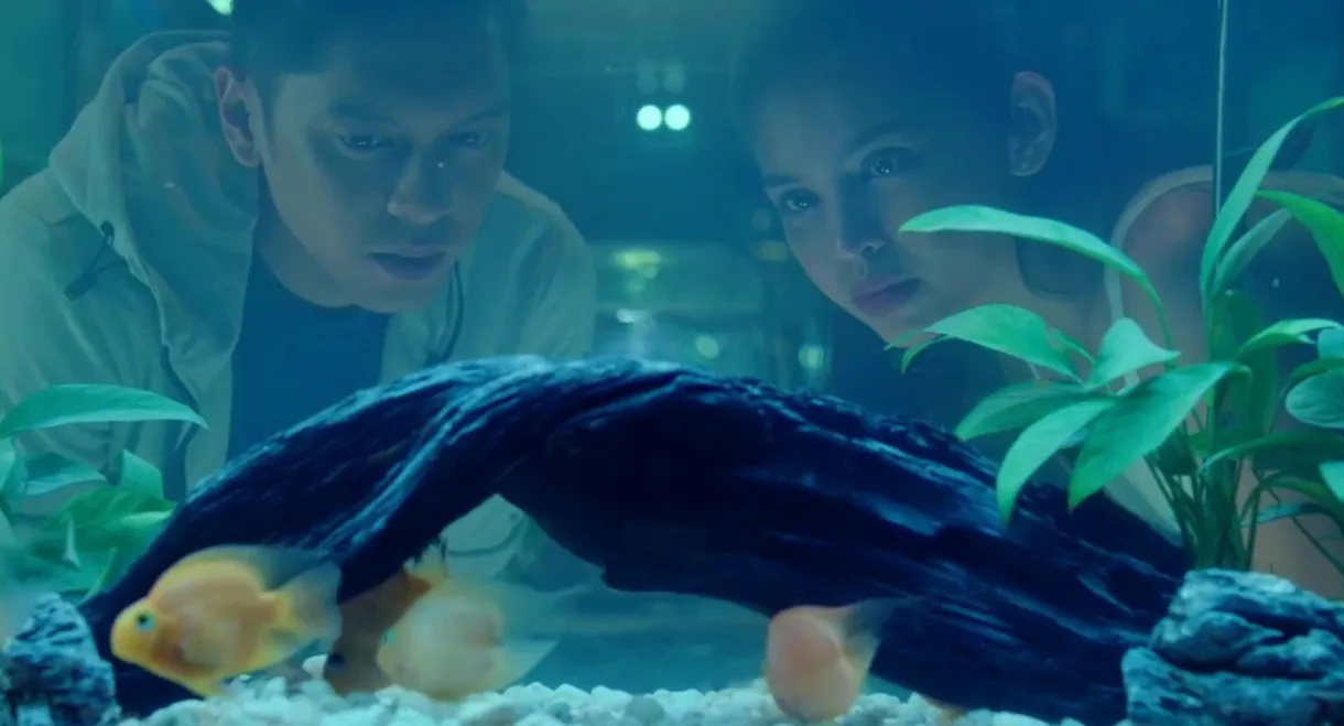 Isa Pa, With Feelings