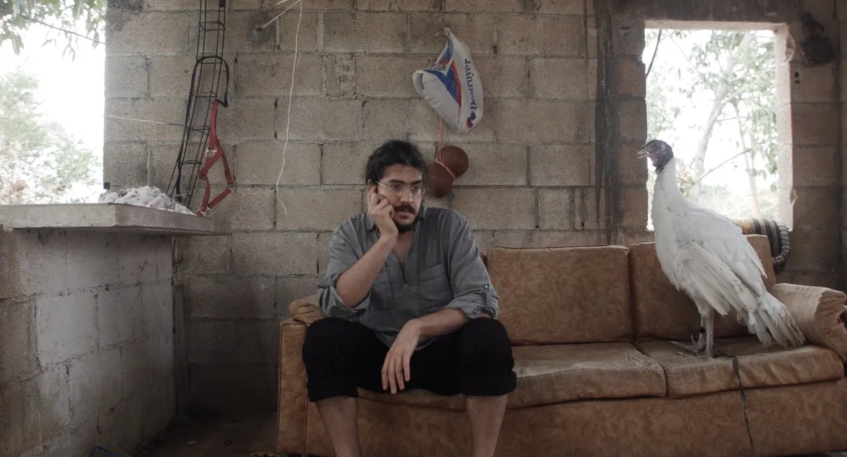 Out of Sight, Out of Mind