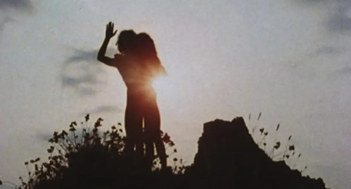 Visa de censure n° X