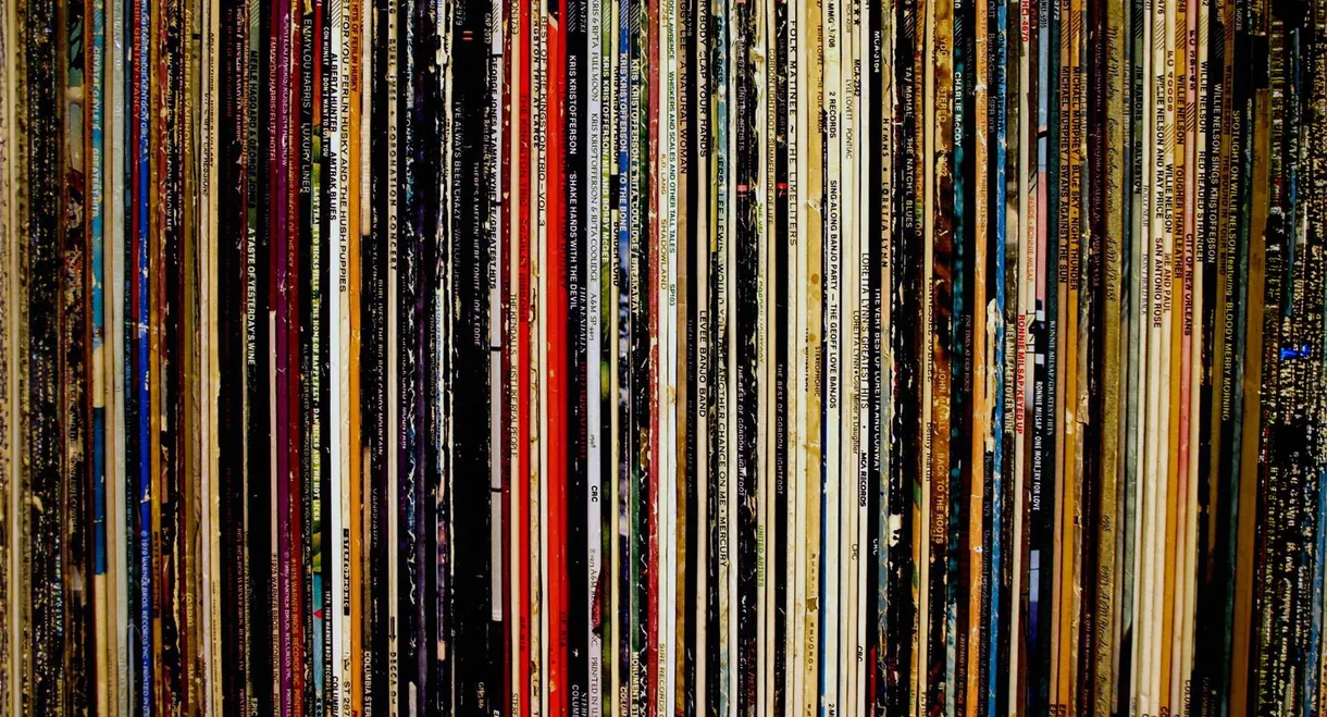 Vinyl Nation