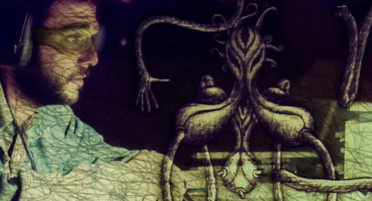 Long Distance Relationship