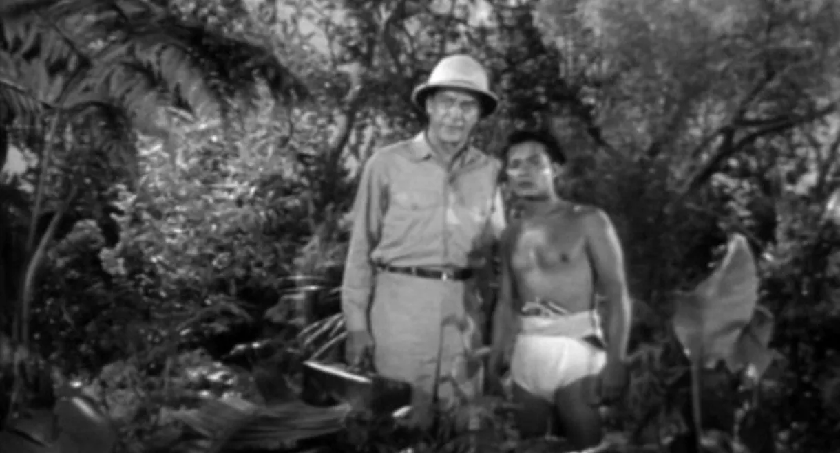 Jungle Hell
