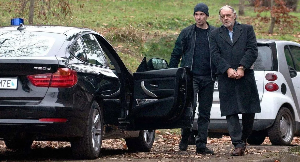 Money. Murder. Zurich.: Borchert's case