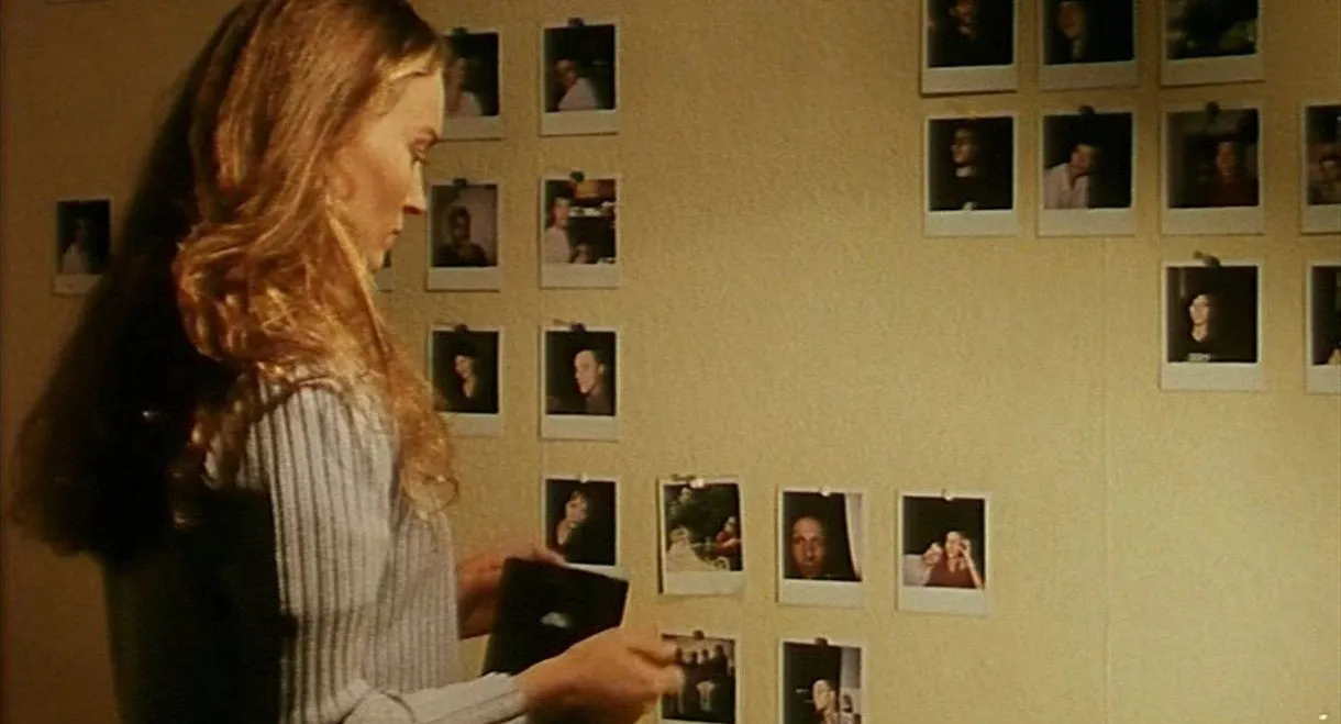 Attention aux chiens