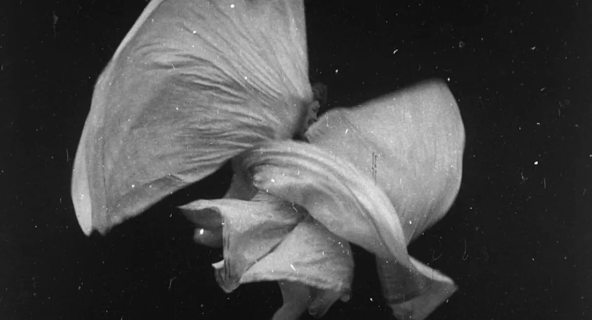 Serpentine Dance by Mme. Bob Walter