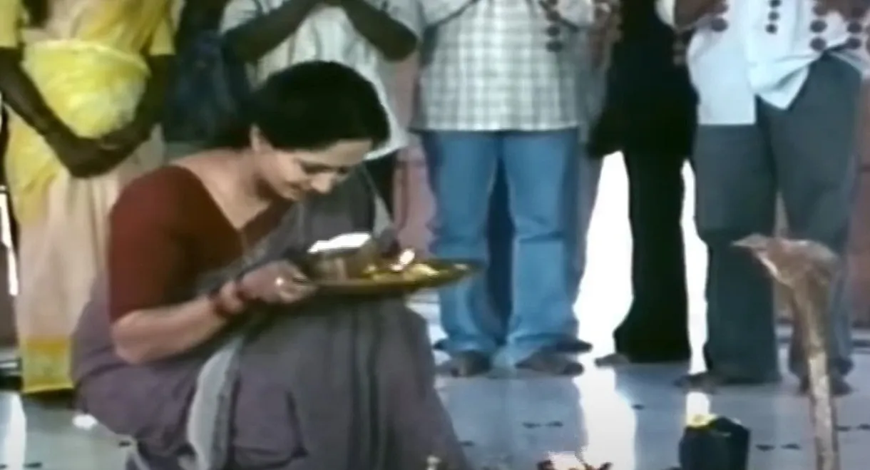 My Home Is Your World