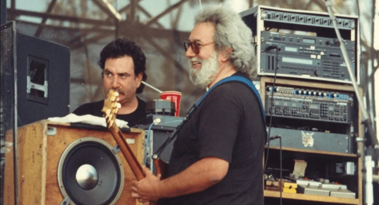 Grateful Dead: View from the Vault II