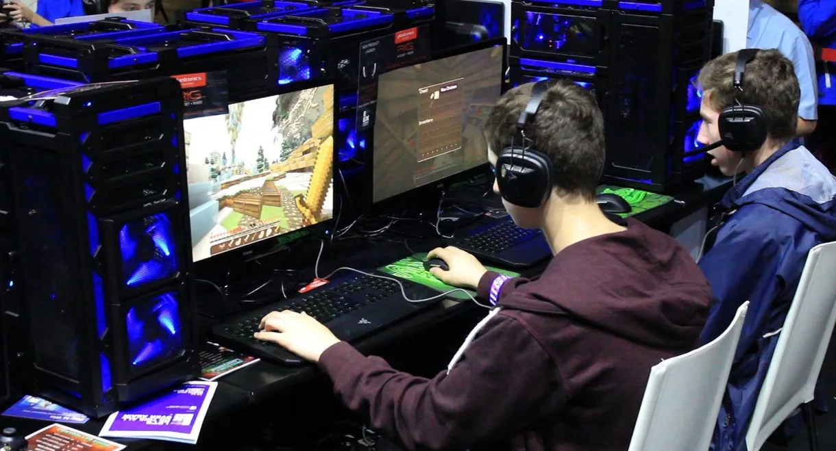 Minecraft: The Story of Minecraft