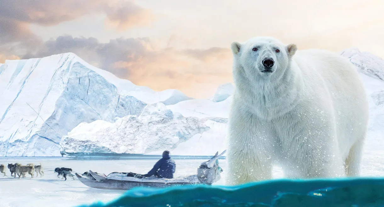 Arctic: Our Frozen Planet