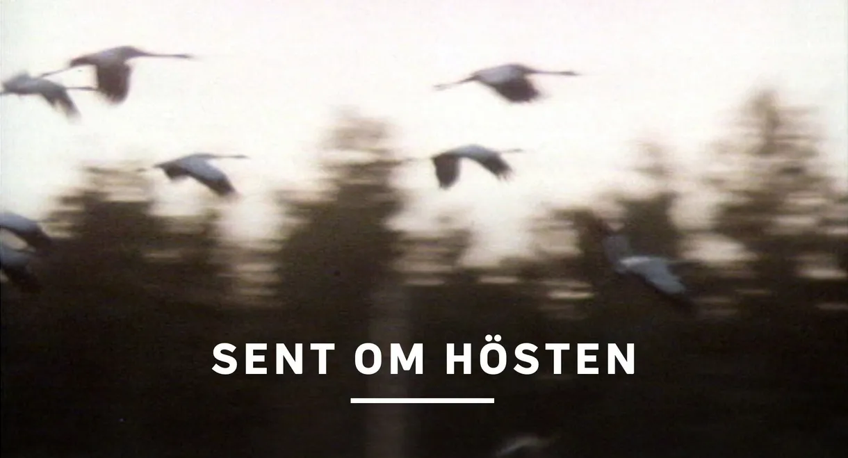 Sent om hösten