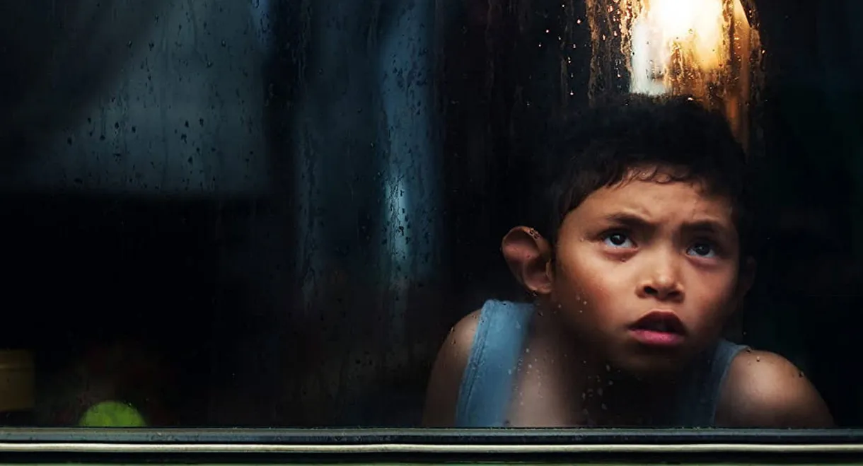 The World In Your Window