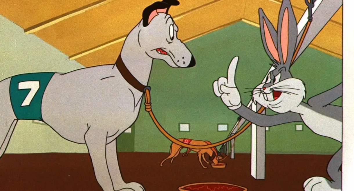 The Grey Hounded Hare