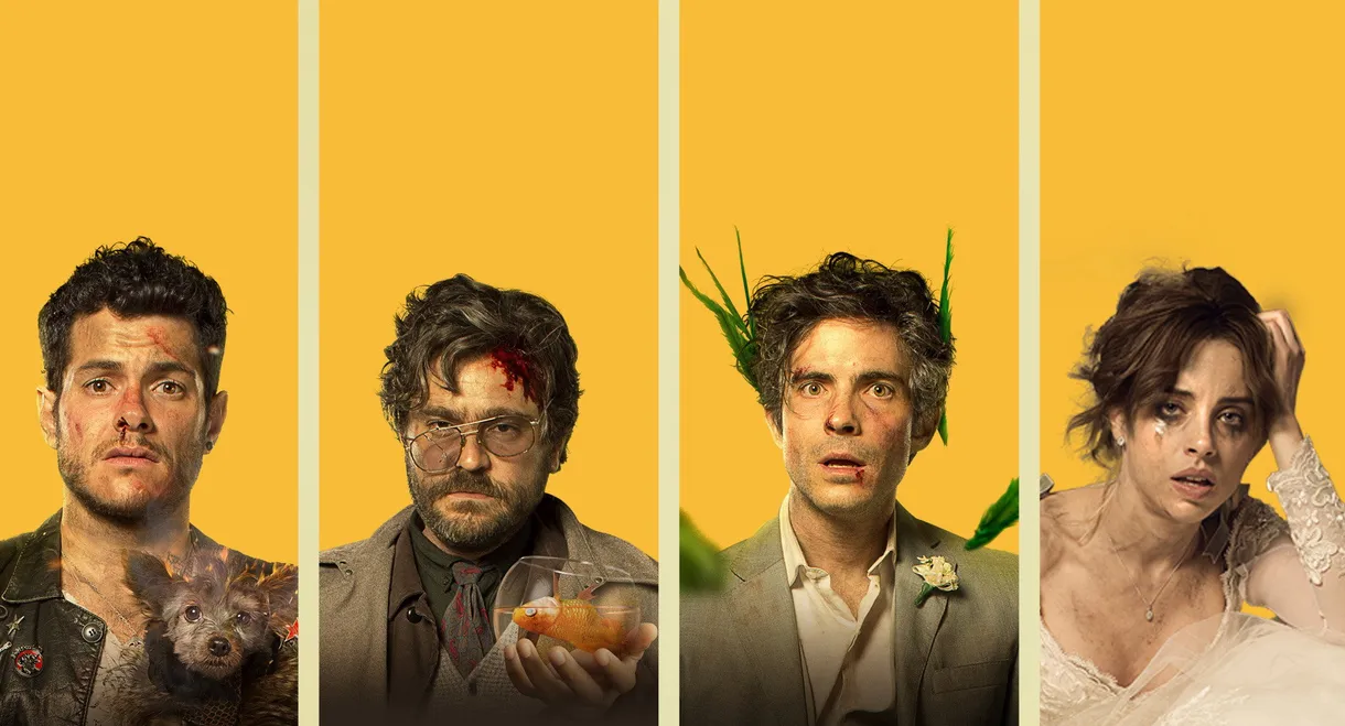 Everything's Gone Wrong!