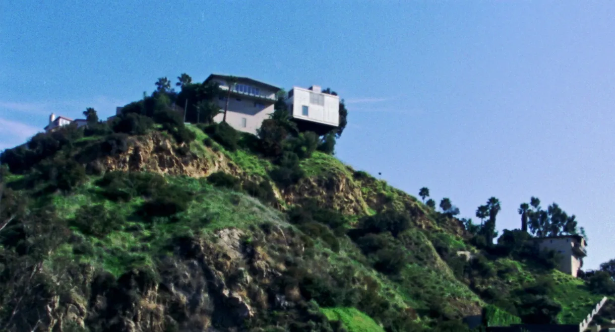 If a Tree Falls in a Forest