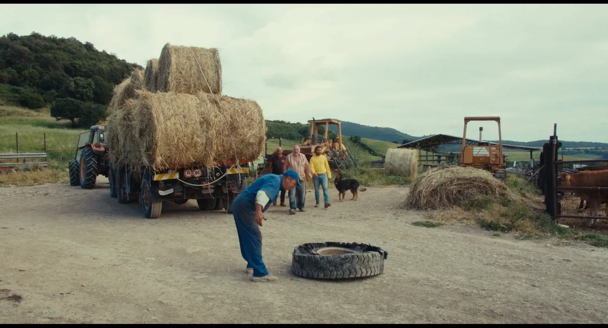 The Substance of Days