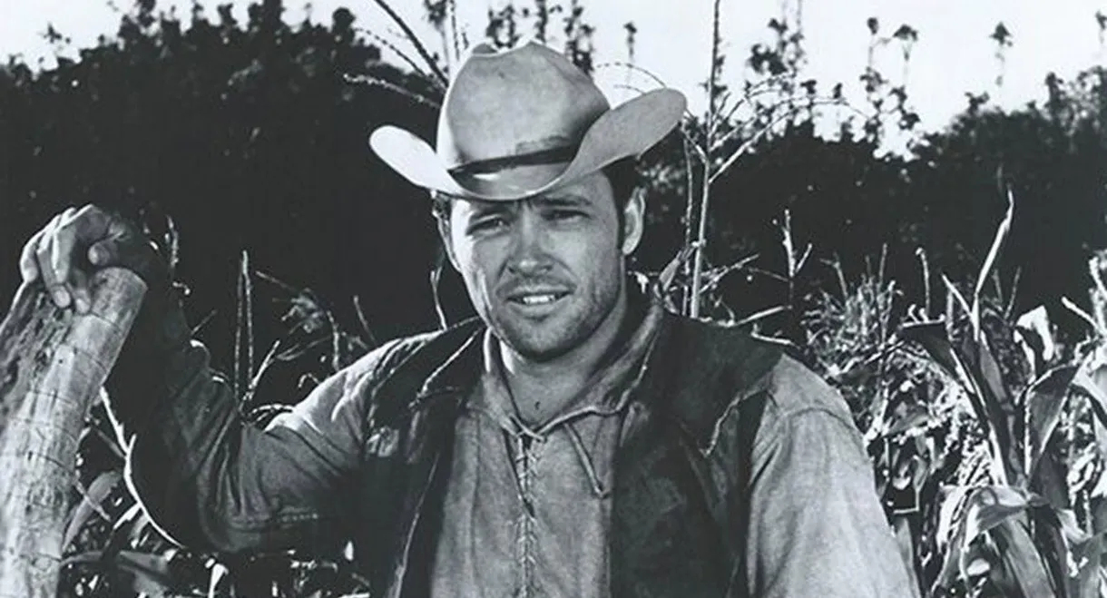 Sancho, the Homing Steer