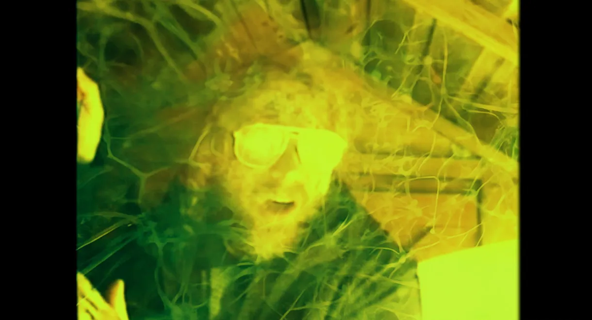 Weedkiller