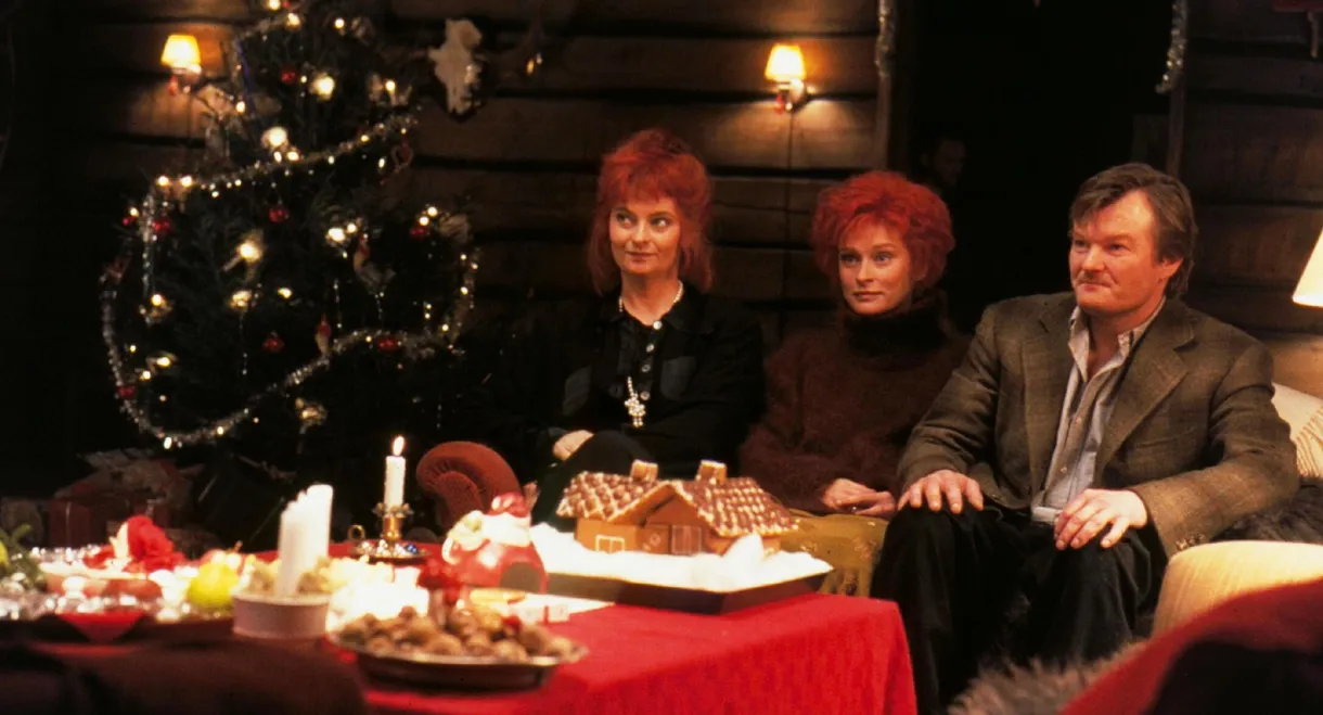 Unmarried Couples: A Comedy That Will Break You Up