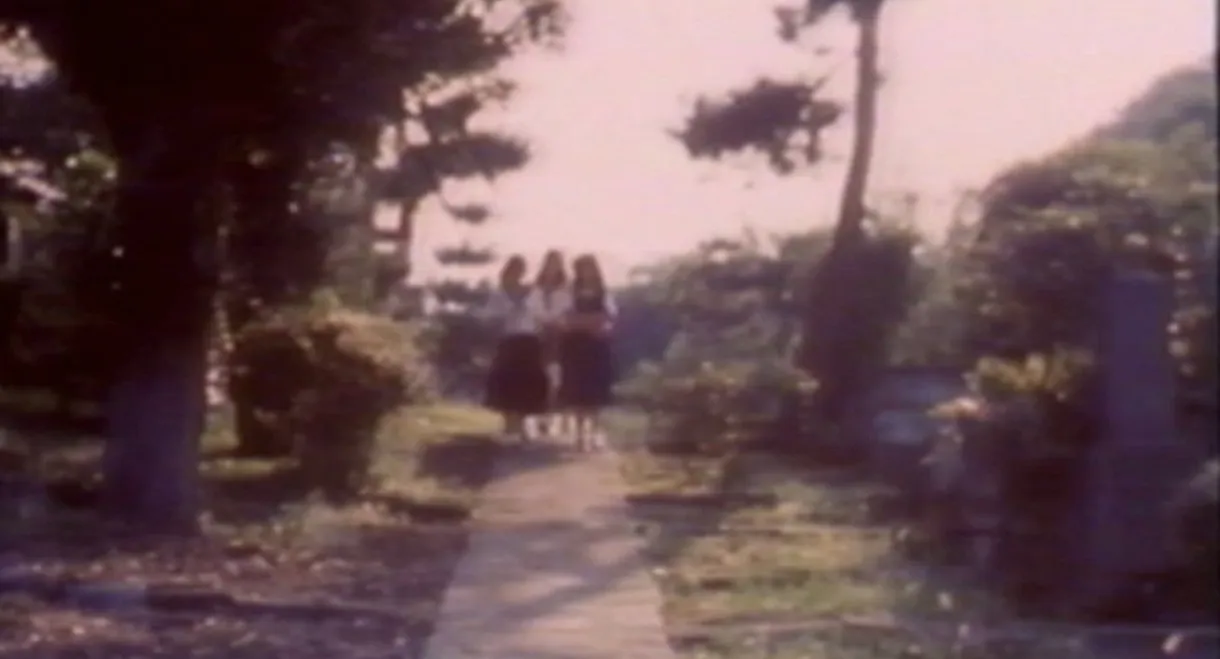 Momoco Wonderland: Strange House