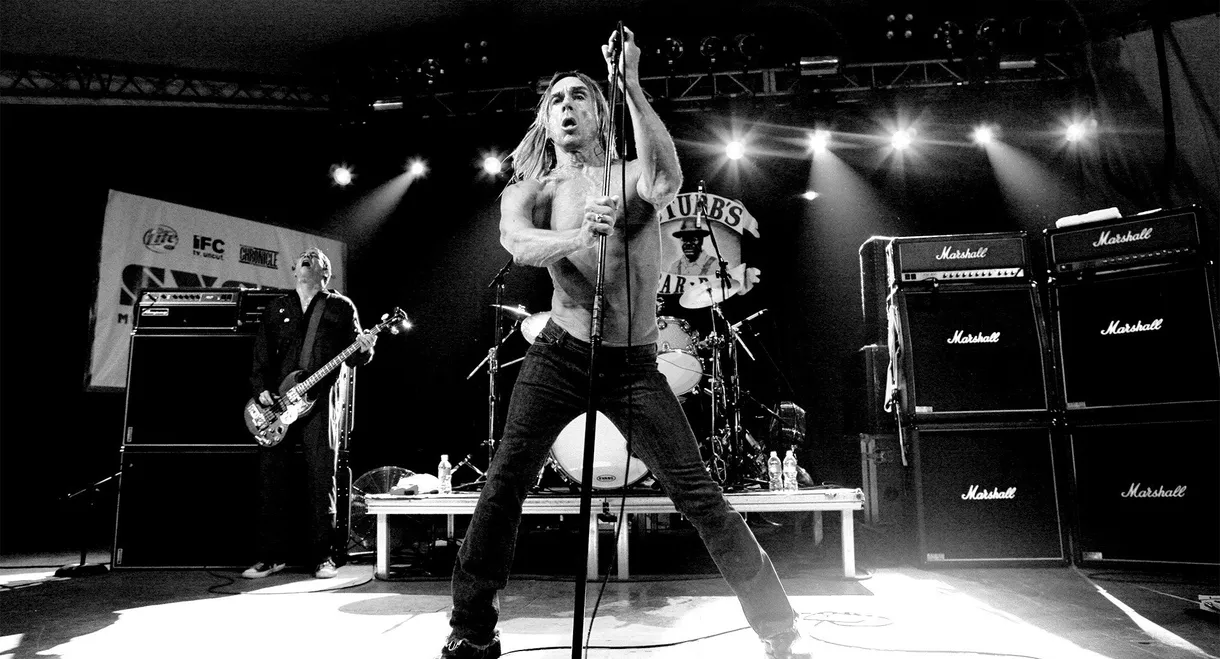 Iggy & the Stooges - Live in Detroit