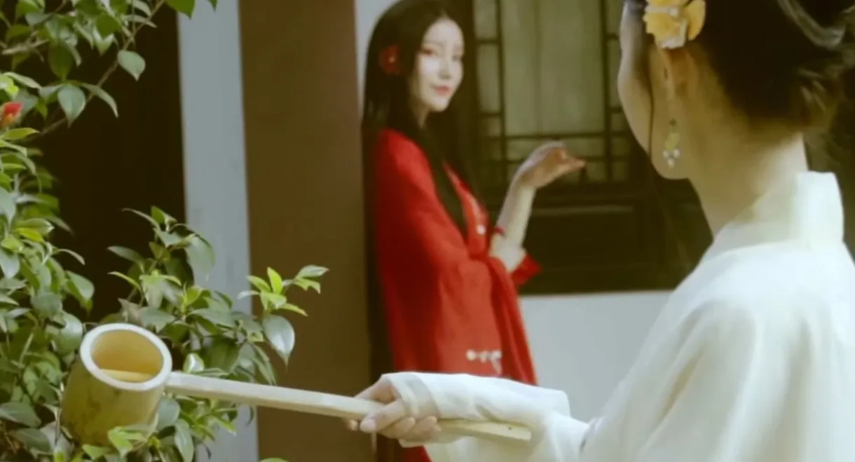 The Twelve Flower Gods: Camellia