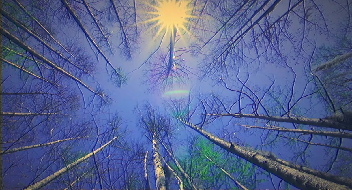 Cologne: artificial (Labajura Remix)