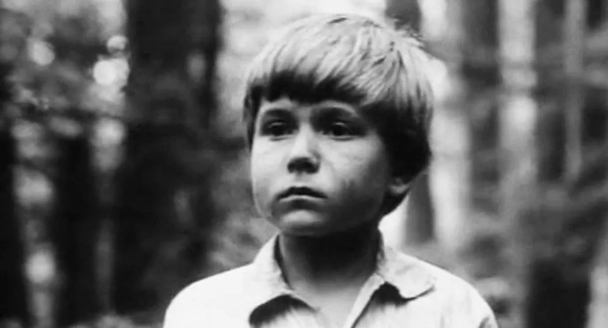 The Secret of the Partisan Dugout