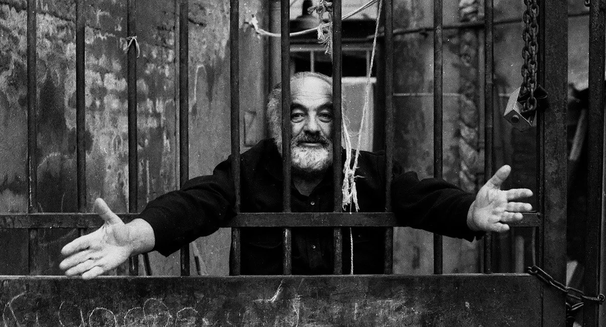 The World Is a Window: Making The Colour of Pomegranates