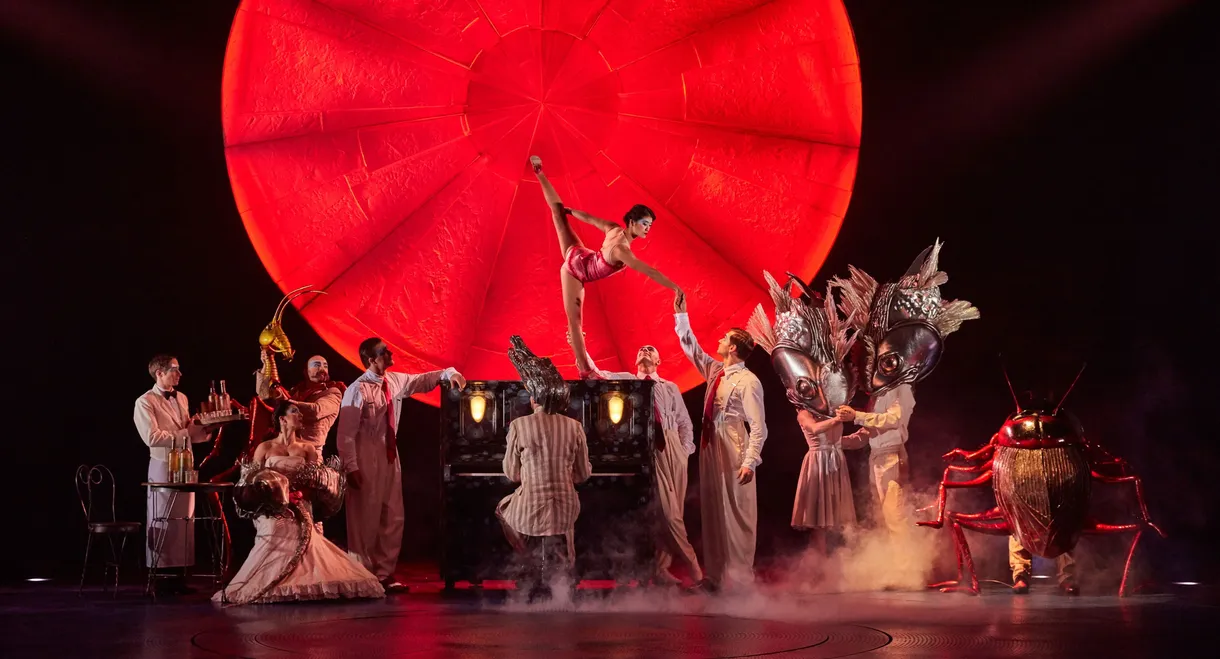 Cirque du Soleil: Luzia