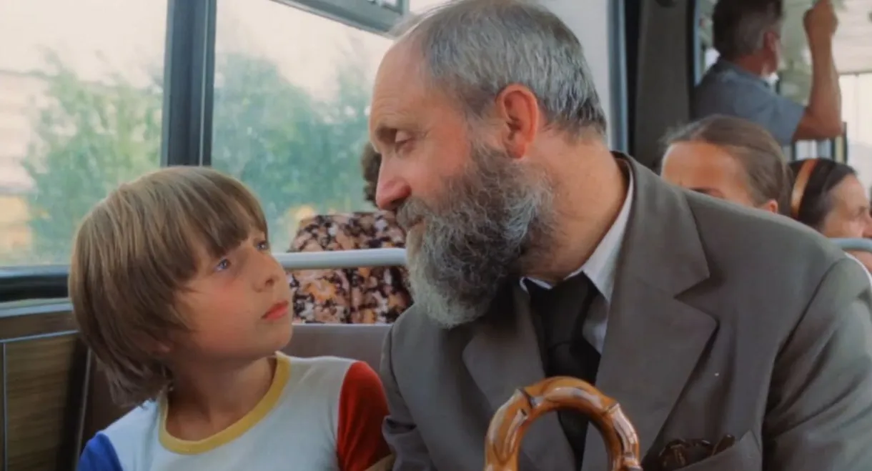 Day of the Humming Bird