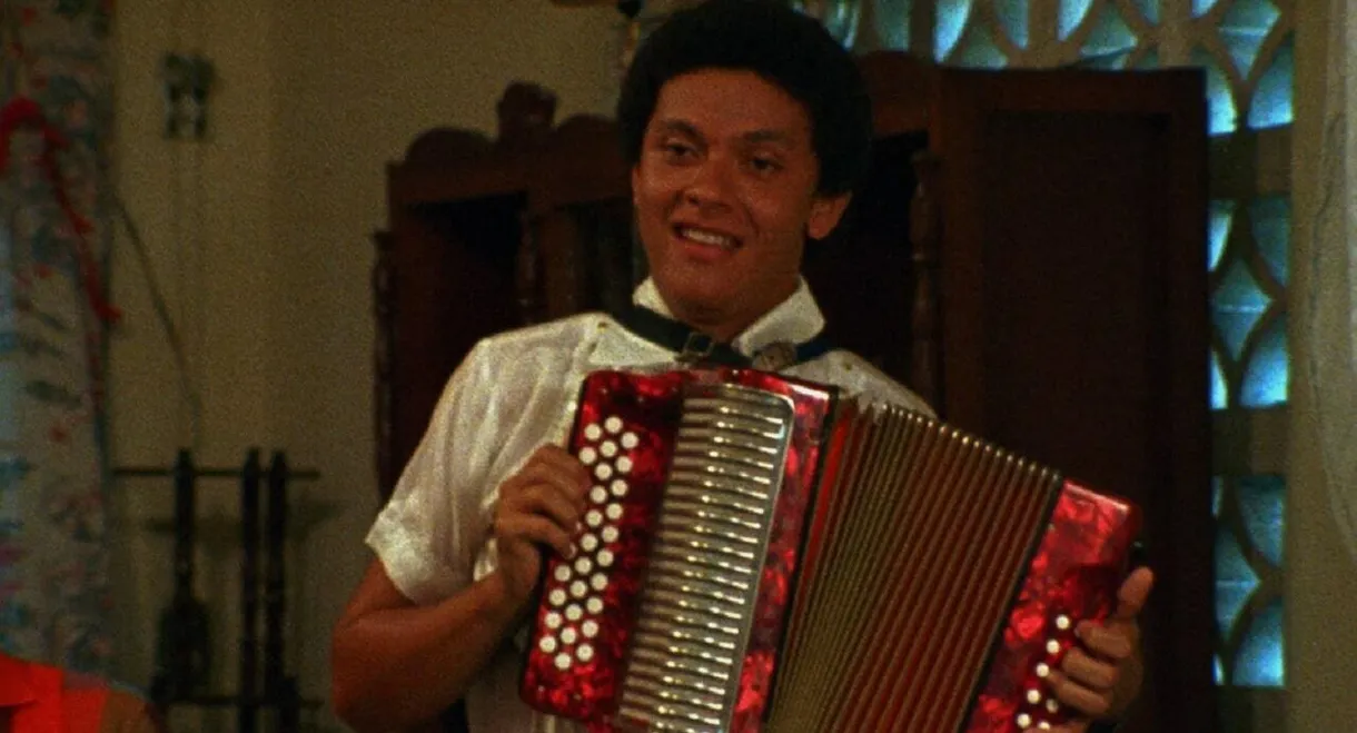 The Accordionist's Wedding