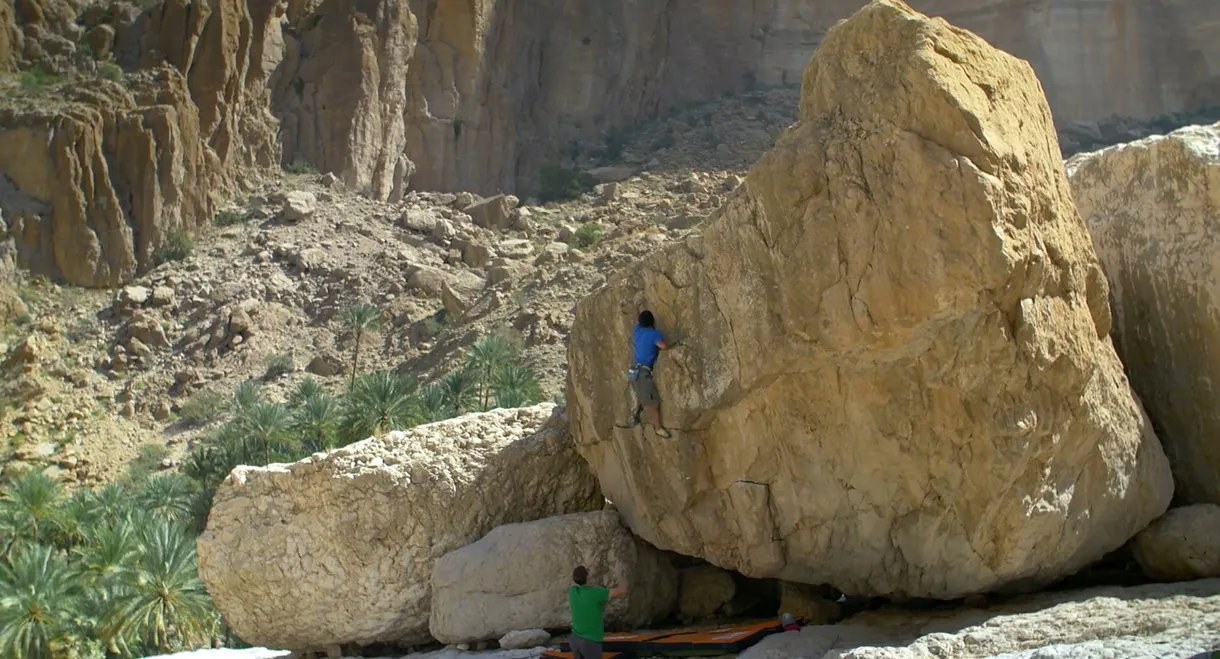 Valley Of Giants